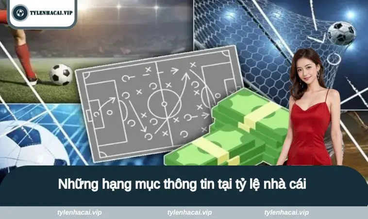 Những hạng mục thông tin tại tỷ lệ nhà cái 
