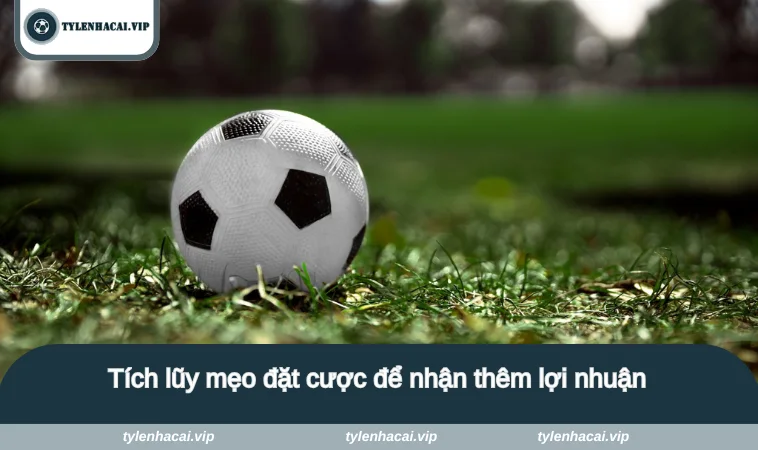 Tích lũy mẹo đặt cược để nhận thêm lợi nhuận