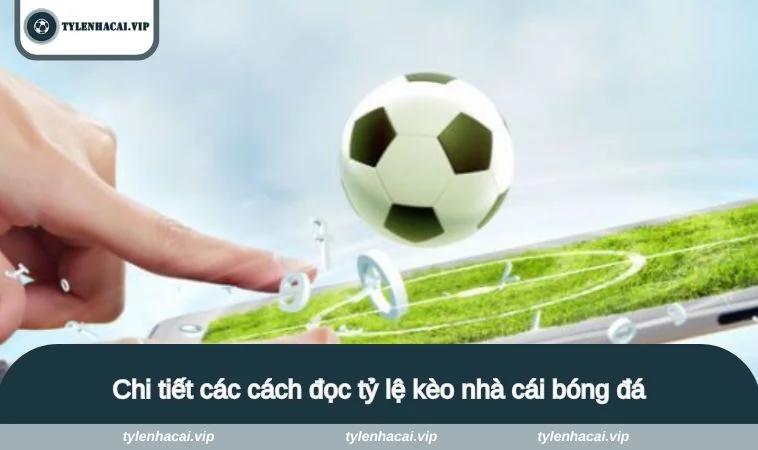 Chi tiết các cách đọc tỷ lệ kèo nhà cái bóng đá