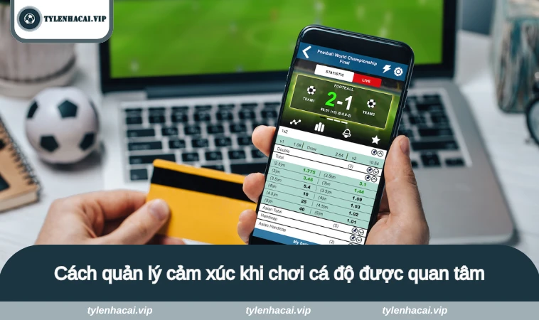 Cách quản lý cảm xúc khi chơi cá độ được quan tâm