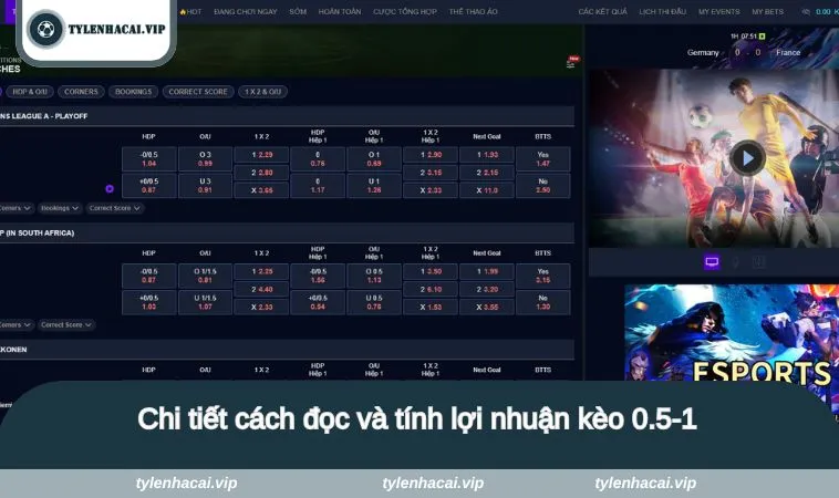 Chi tiết cách đọc và tính lợi nhuận kèo 0.5-1