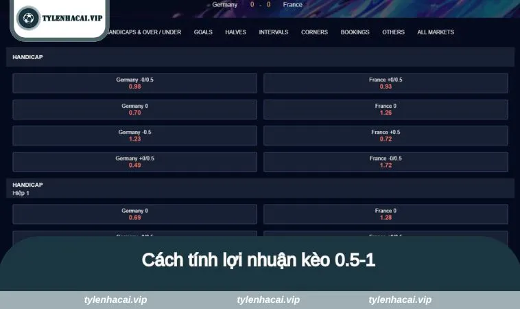 Cách tính lợi nhuận kèo 0.5-1