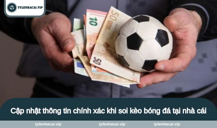Cập nhật thông tin chính xác khi soi kèo bóng đá tại nhà cái
