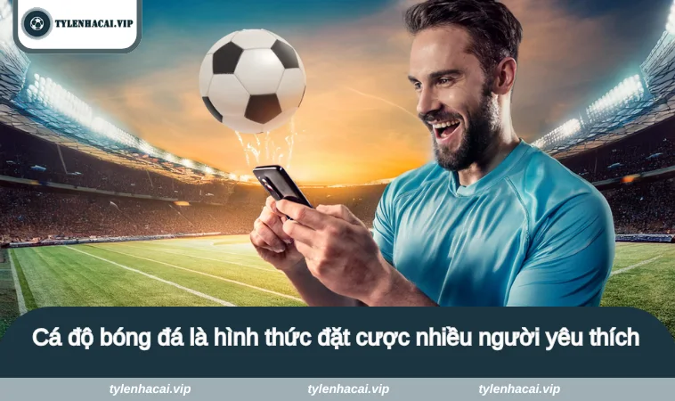 Cá độ bóng đá là hình thức đặt cược nhiều người yêu thích