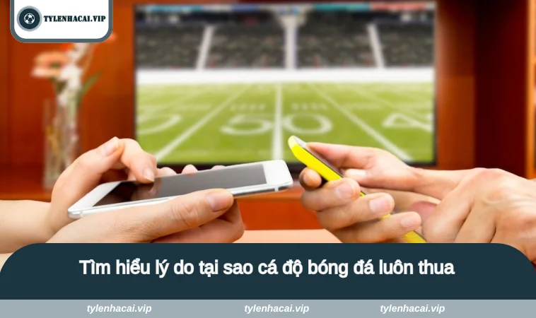 Tìm hiểu lý do tại sao cá độ bóng đá luôn thua