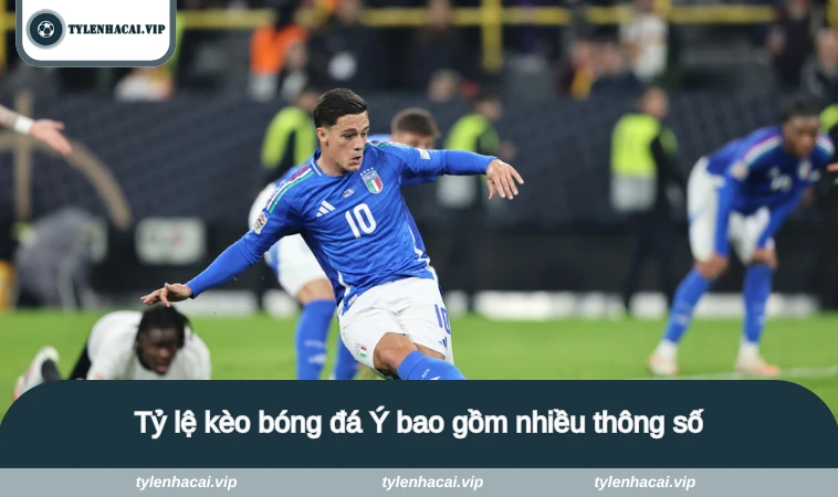 Tỷ lệ kèo bóng đá Ý bao gồm nhiều thông số