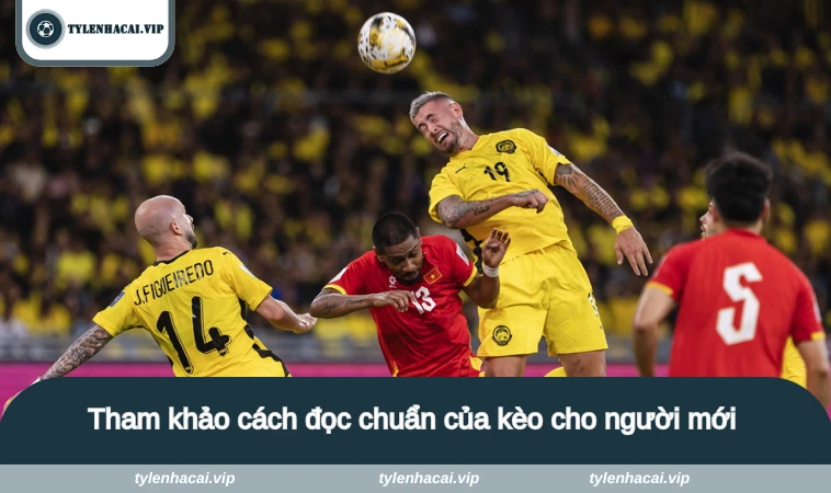 Tham khảo cách đọc chuẩn của kèo cho người mới