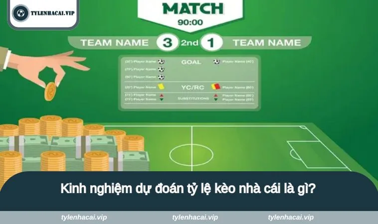 ty le keo nha cai la gi 3 Kinh nghiệm dự đoán tỷ lệ kèo nhà cái là gì?